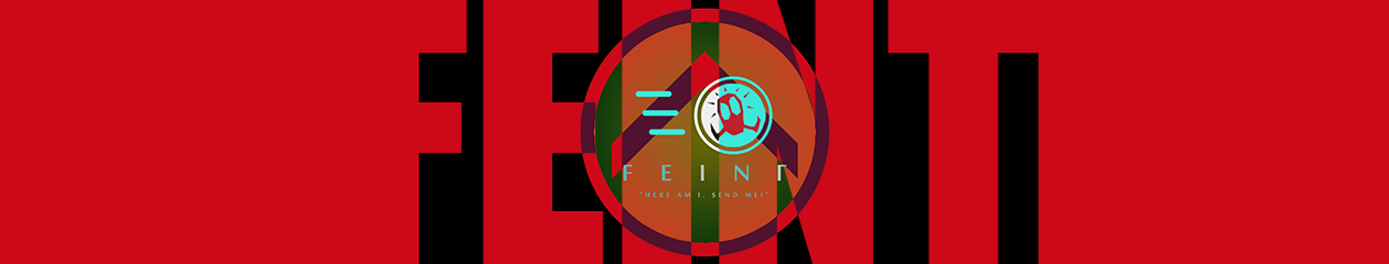 Feint – The Game Developer